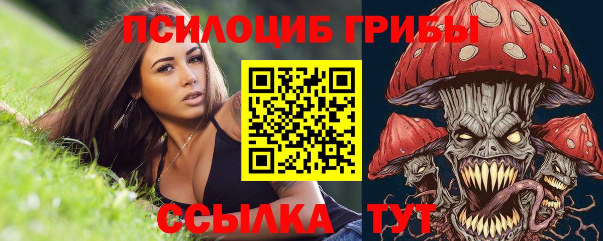 Псилоцибиновые грибы мухоморы Гудермес